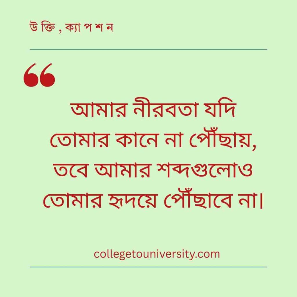 নীরবতা নিয়ে সেরা ইমোশনাল উক্তি