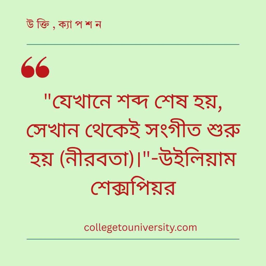 বিখ্যাত ব্যক্তিদের উক্তি (নীরবতা বিষয়ক)