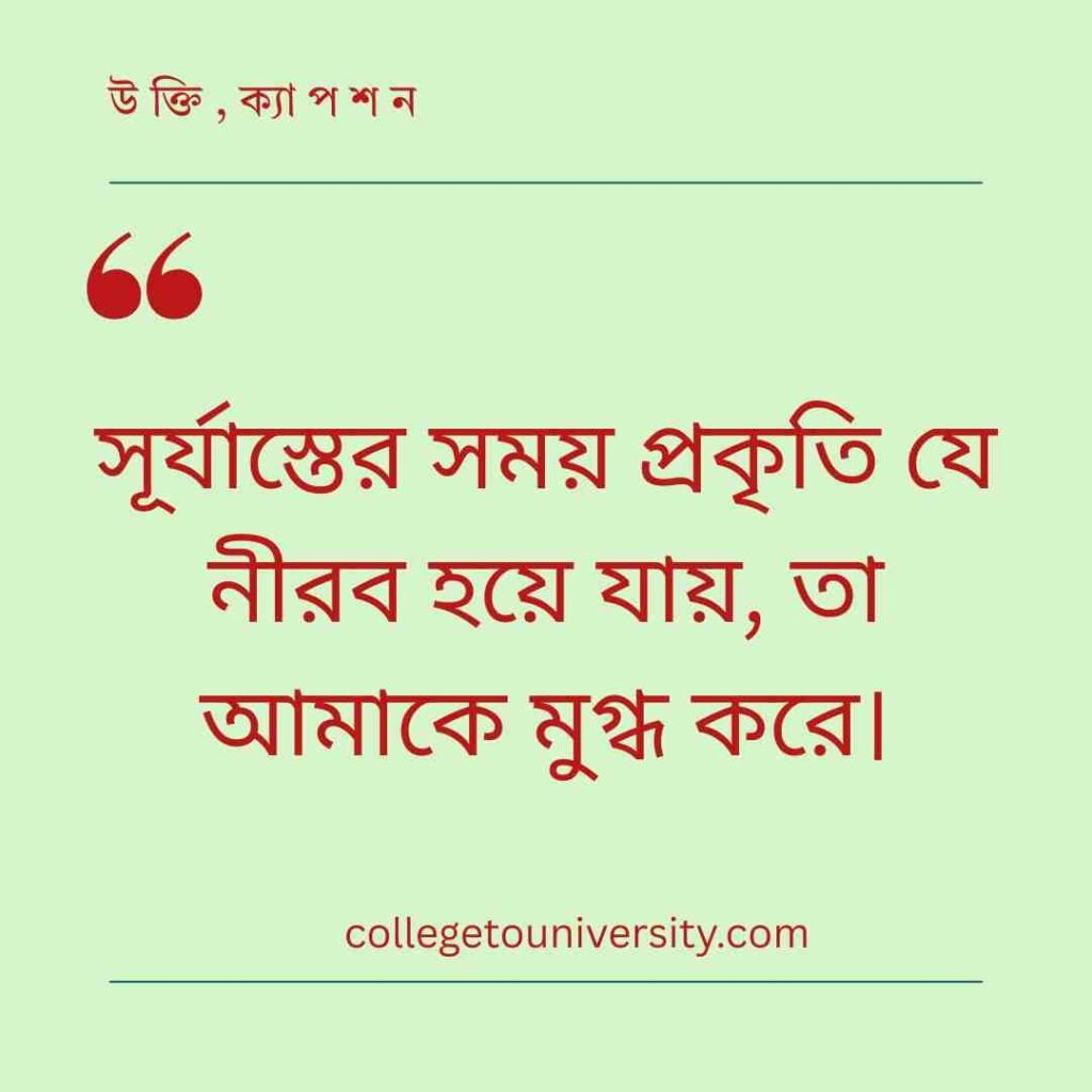 একাকিত্ব ও প্রকৃতি নিয়ে নীরবতার স্ট্যাটাস