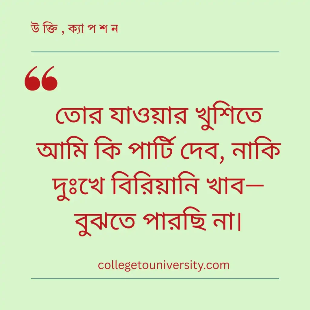 মজার ও পচানি মার্কা বিদায় স্ট্যাটাস