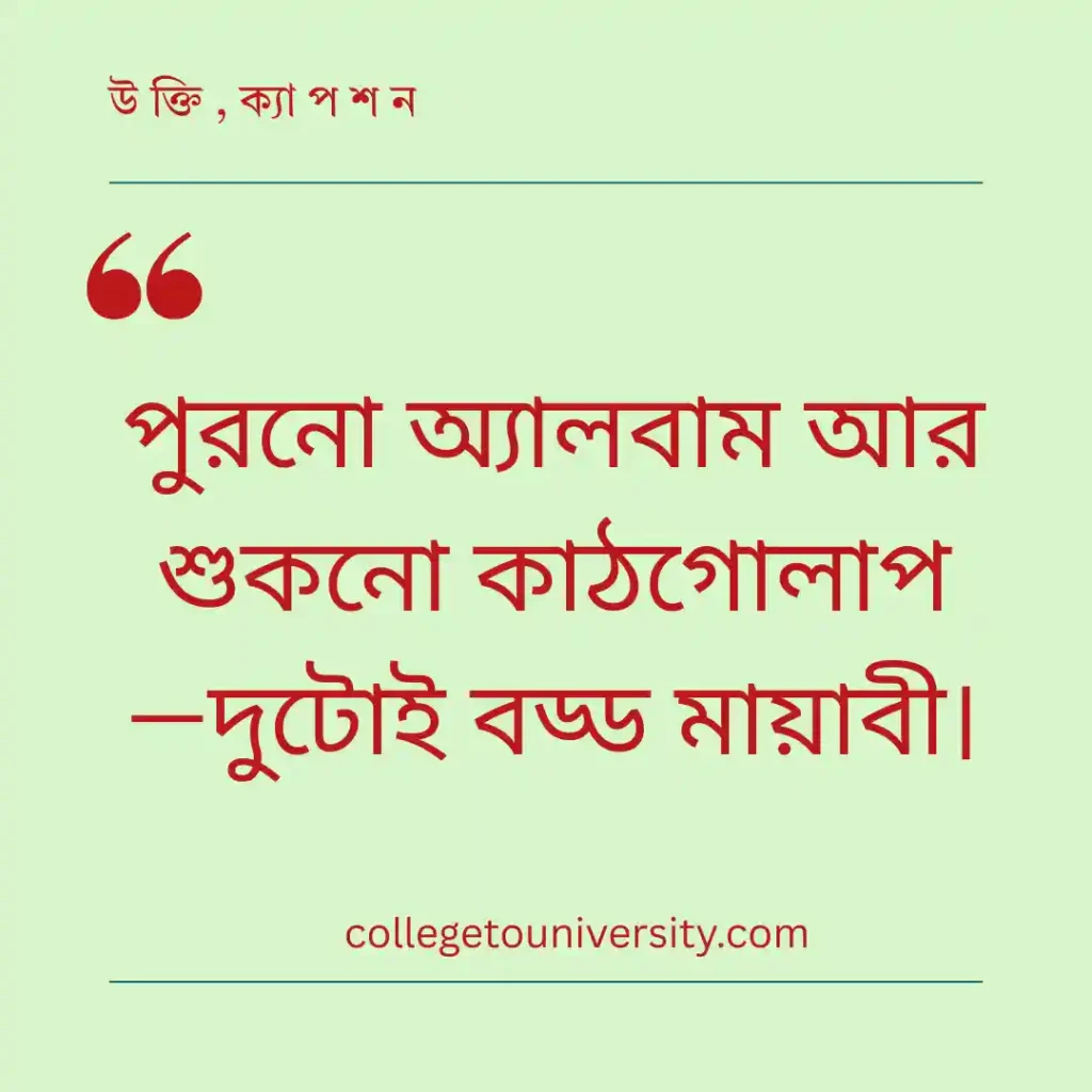  কাঠগোলাপ নিয়ে ক্যাপশন