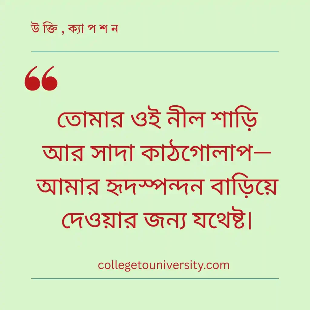 শাড়ি, টিপ ও কাঠগোলাপ