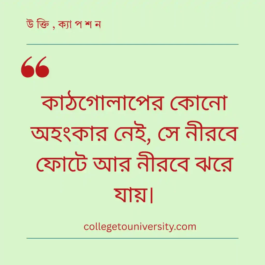 প্রকৃতি ও কাঠগোলাপ নিয়ে উক্তি