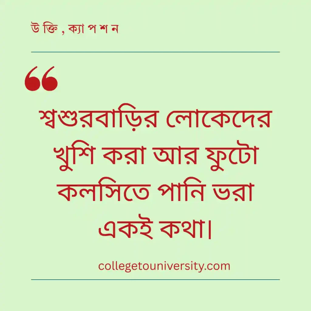 শ্বশুরবাড়ির কষ্ট ও মানিয়ে নেওয়ার উক্তি