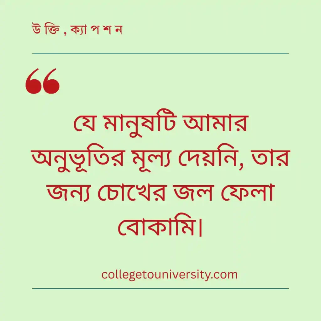 কষ্ট ও বেদনার অনুভূতি নিয়ে স্ট্যাটাস