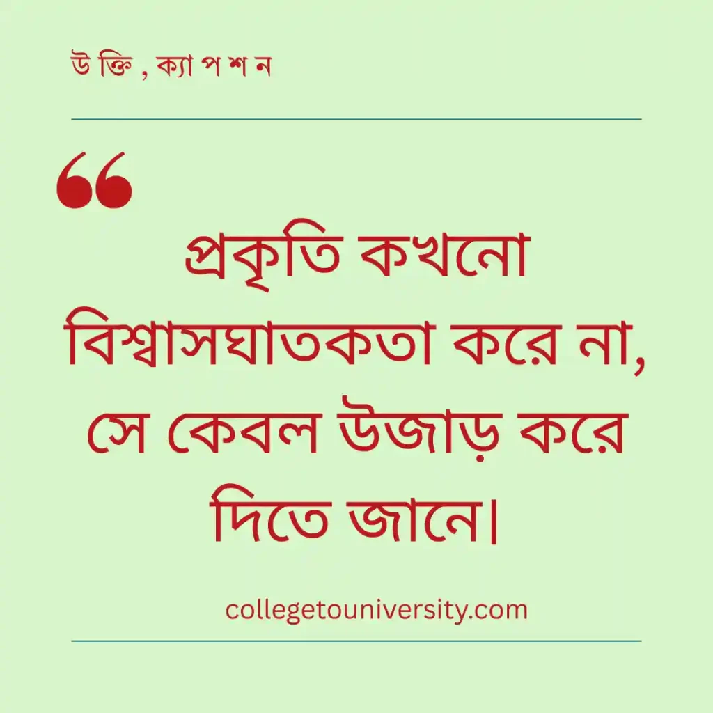 প্রকৃতি ও বৃষ্টির অনুভূতি