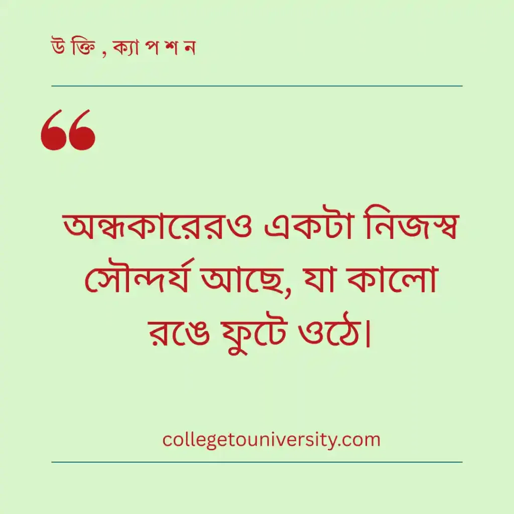 সাদা কালো ছবি নিয়ে ক্যাপশন