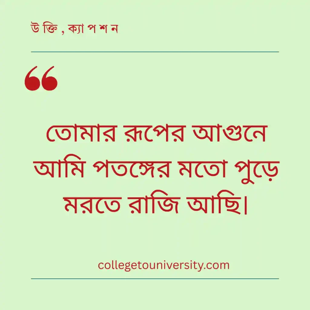 প্রেমিকার রূপের প্রশংসা