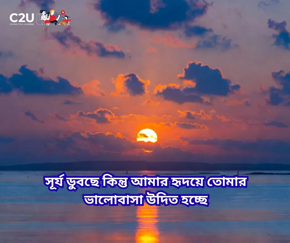 সূর্য নিয়ে ক্যাপশন