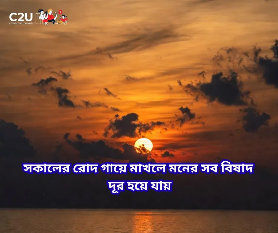 সূর্য নিয়ে ক্যাপশন