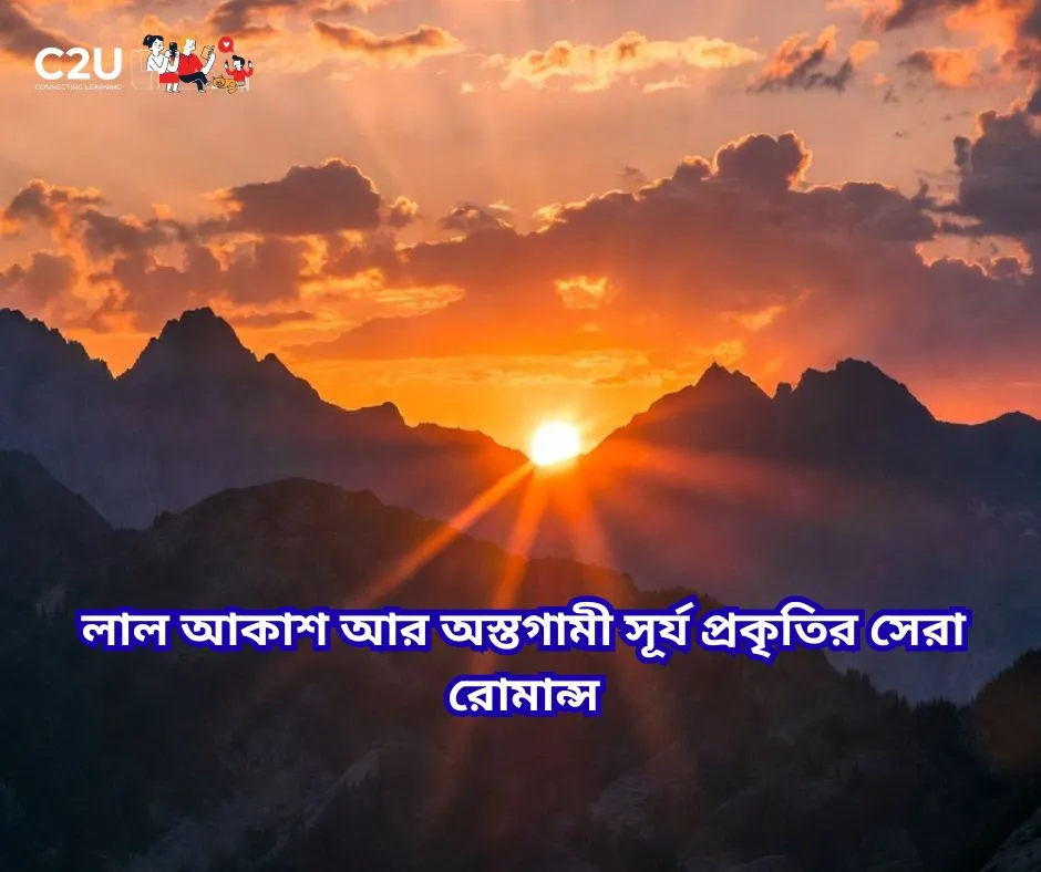 সূর্য নিয়ে ক্যাপশন