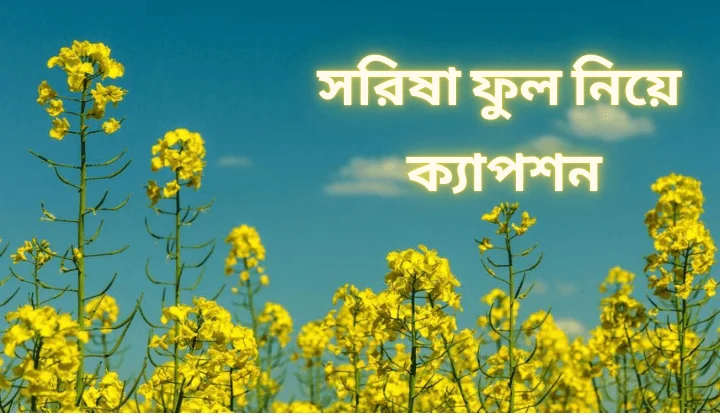 সরিষা ফুল নিয়ে ক্যাপশন