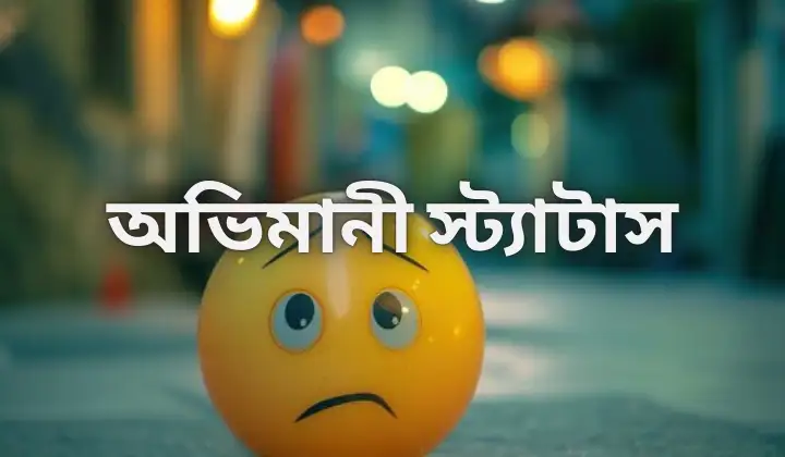 অভিমানী স্ট্যাটাস