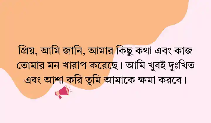 বউয়ের কাছে ক্ষমা চাওয়ার মেসেজ