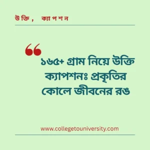 গ্রাম নিয়ে উক্তি