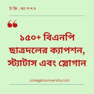 বিএনপি ছাত্রদলের ক্যাপশন
