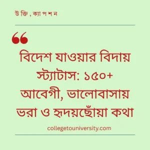 বিদেশ যাওয়ার বিদায় স্ট্যাটাস