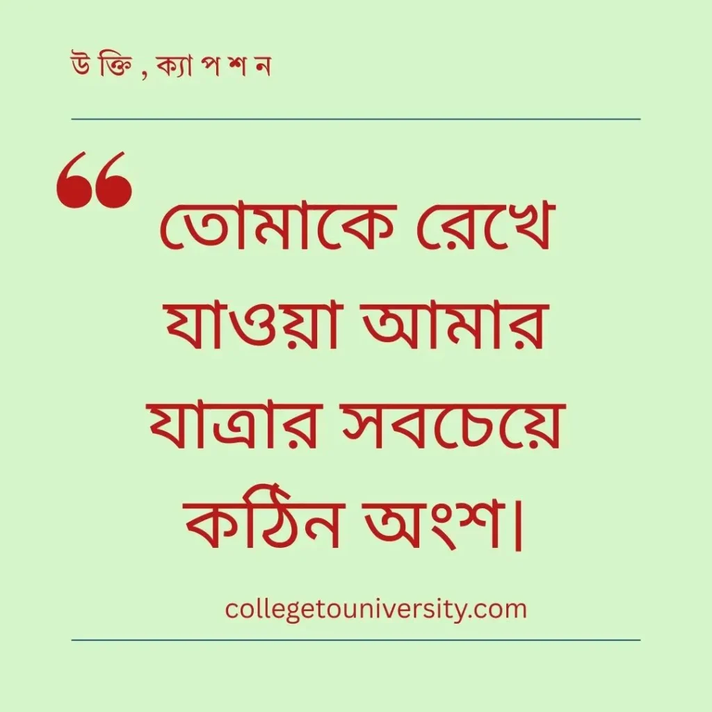 বিদেশ যাওয়ার বিদায় স্ট্যাটাস