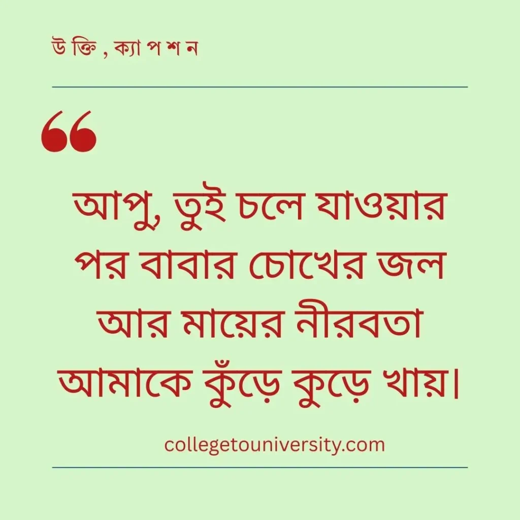 বড় বোনকে নিয়ে কষ্টের স্ট্যাটাস