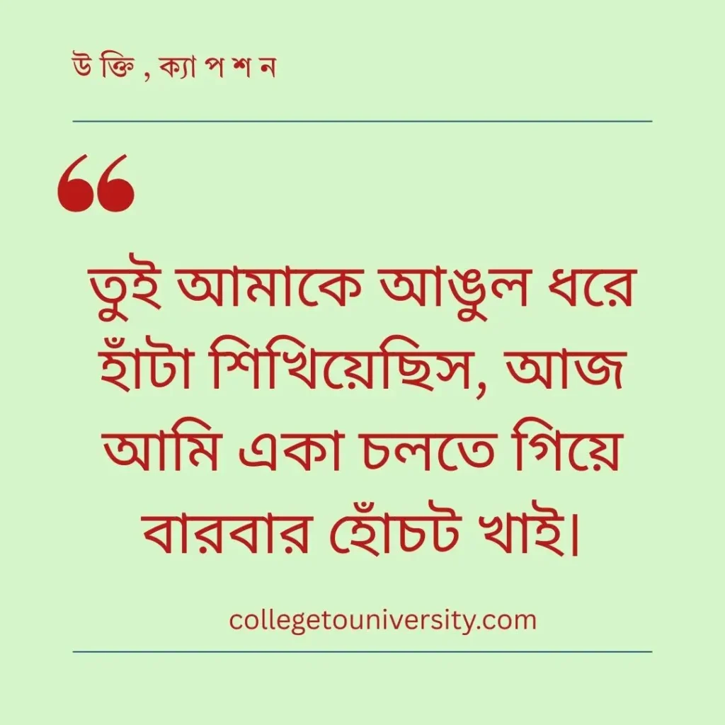 বড় বোনকে নিয়ে কষ্টের স্ট্যাটাস