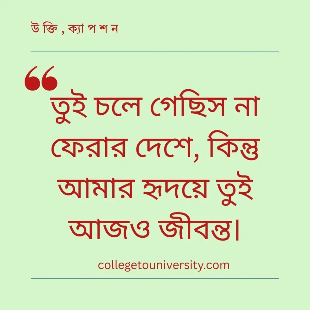 বড় বোনকে নিয়ে কষ্টের স্ট্যাটাস