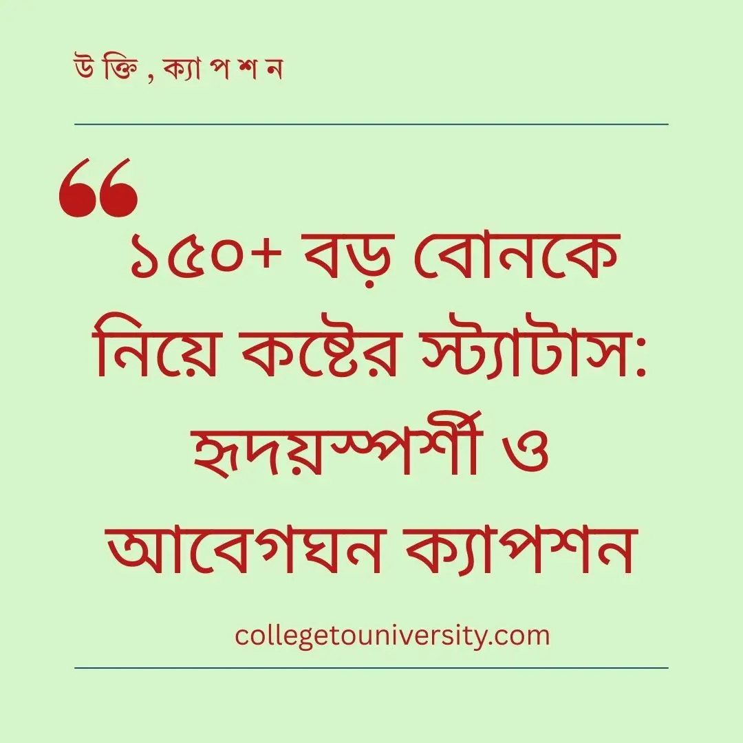 বড় বোনকে নিয়ে কষ্টের স্ট্যাটাস