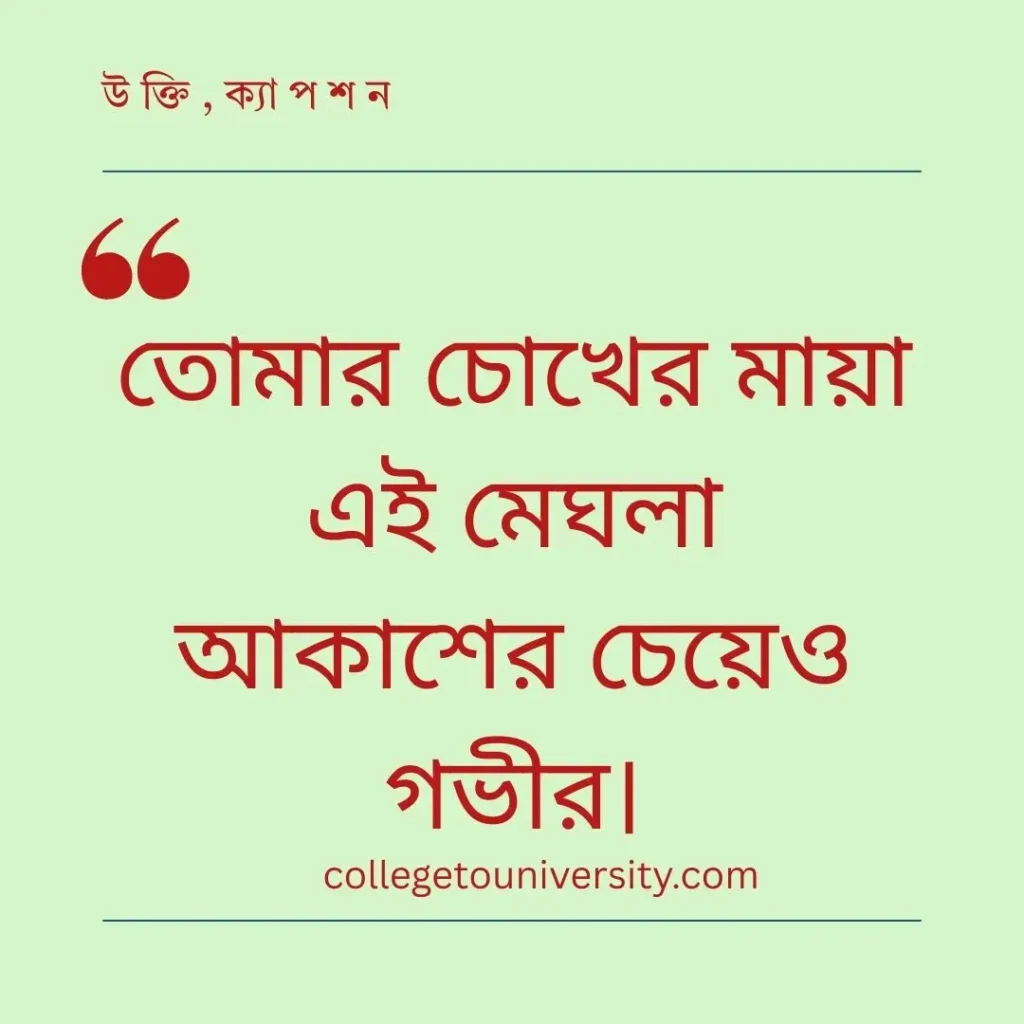 মেঘলা আকাশ নিয়ে ক্যাপশন