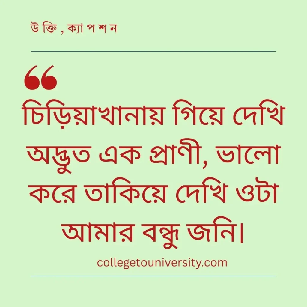 সেরা হাসির ছন্দ