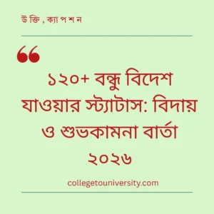 ১২০+ বন্ধু বিদেশ যাওয়ার স্ট্যাটাস: বিদায় ও শুভকামনা বার্তা ২০২৬