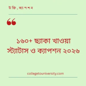 ছ্যাকা খাওয়া স্ট্যাটাস